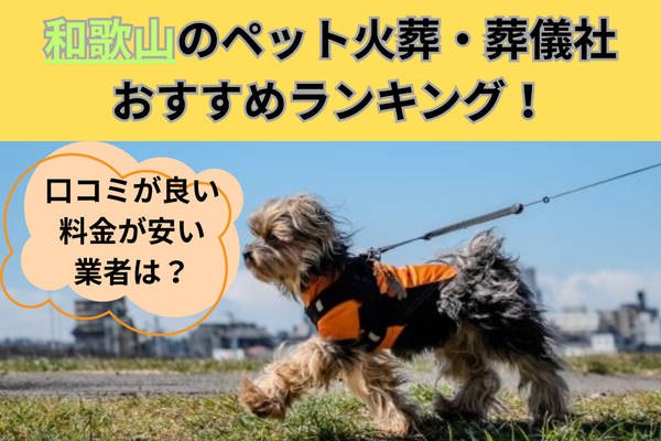 和歌山のペット火葬・葬儀社おすすめランキング！口コミが良い・料金の安い業者は？